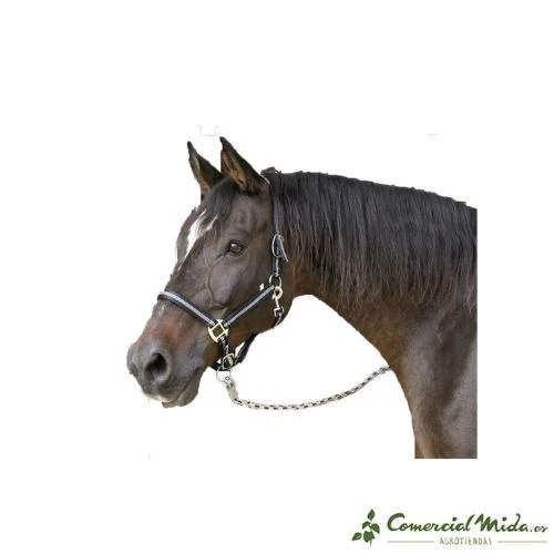 Cabezada de Nylon Mustang KERBL con Doble Ajuste para Caballos - Image 3