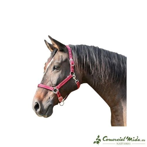Cabezada de Nylon Mustang KERBL con Doble Ajuste para Caballos - Image 5