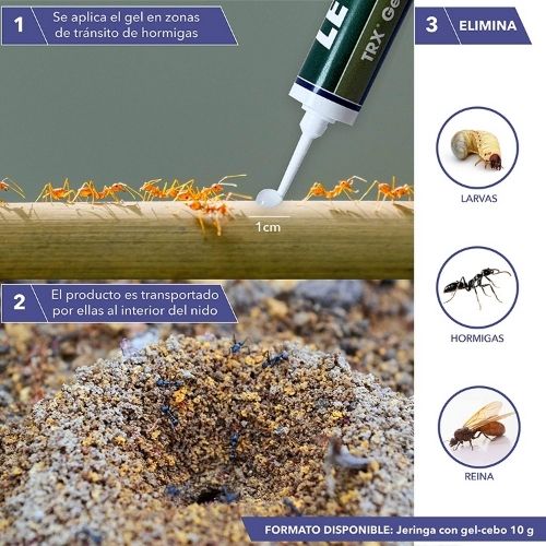 Insecticida LETAL TRX GEL HORMIGAS 10 g - Image 3