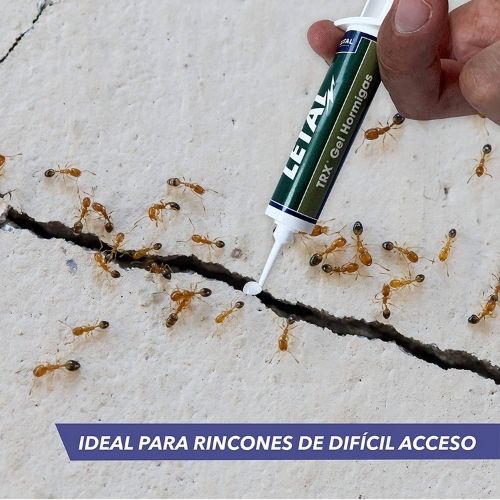 Insecticida LETAL TRX GEL HORMIGAS 10 g - Image 5