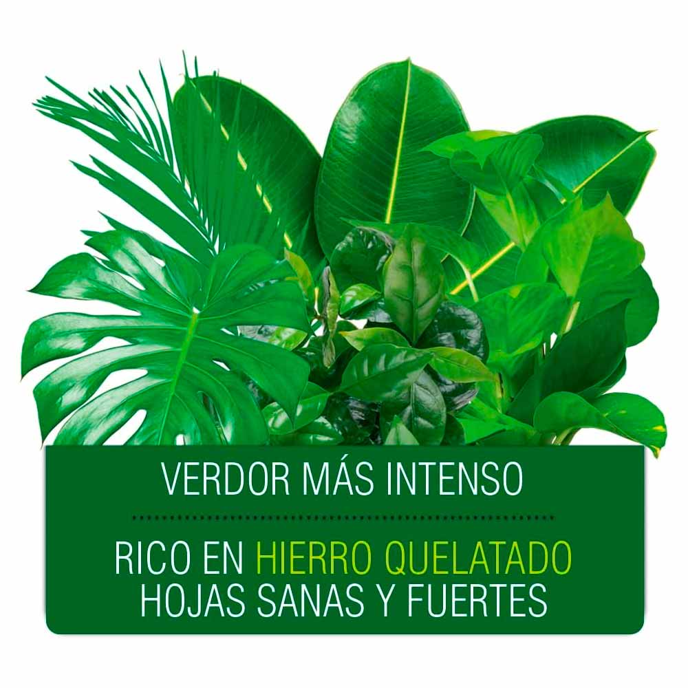 FERTIBERIA Fertilizante Plantas Verdes 1L+30% gratis * - Image 3