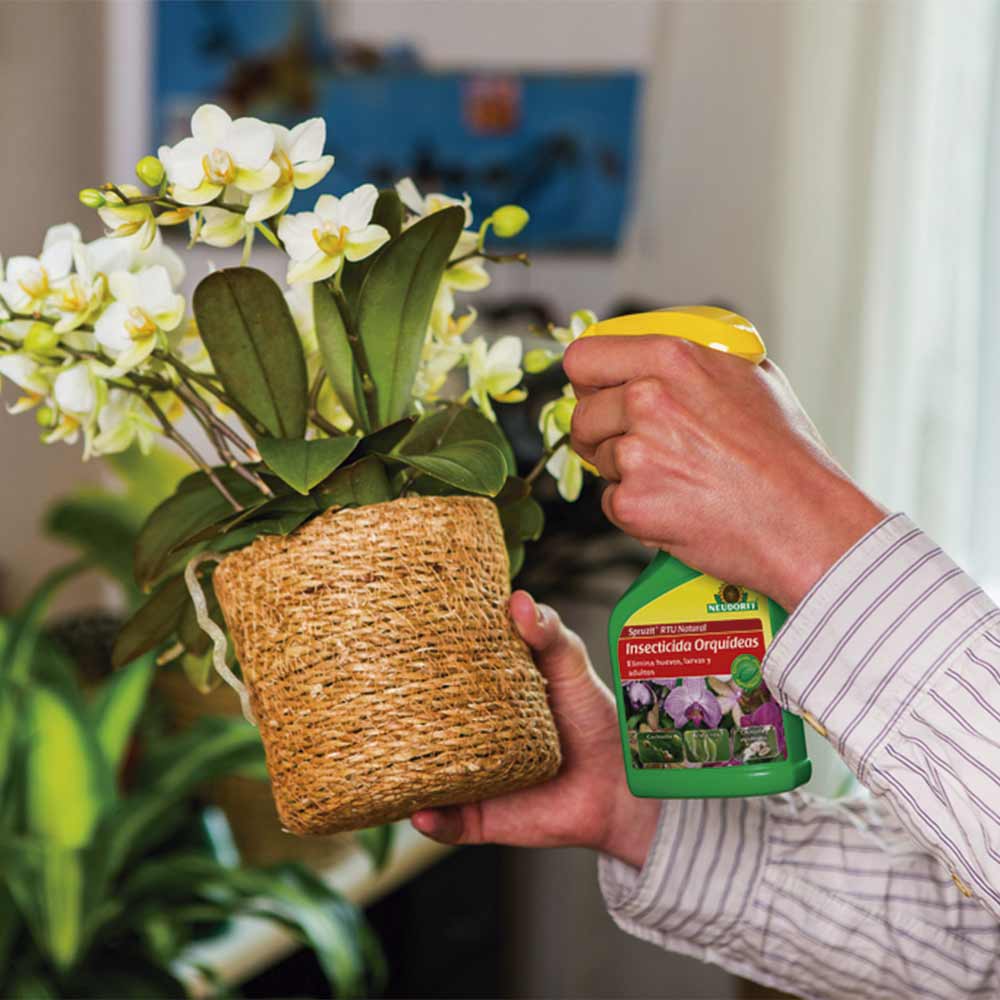 Insecticida Natural para Orquídeas de Spruzit RTU 250ml - Image 2
