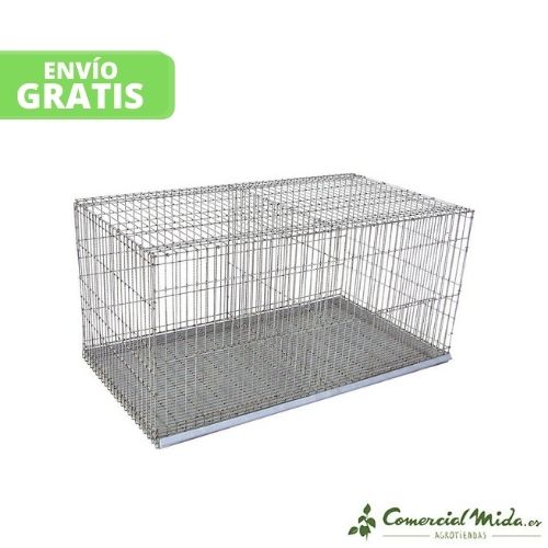 Miniatura 1