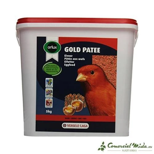 ORLUX Gold Patee Red Canaries Red - Image 3