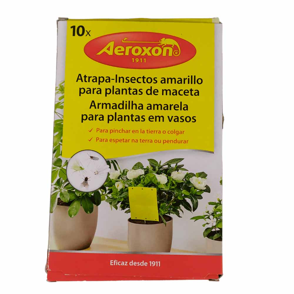 Pegatinas Atrapa-Insectos para plantas de maceta de Aeroxon
