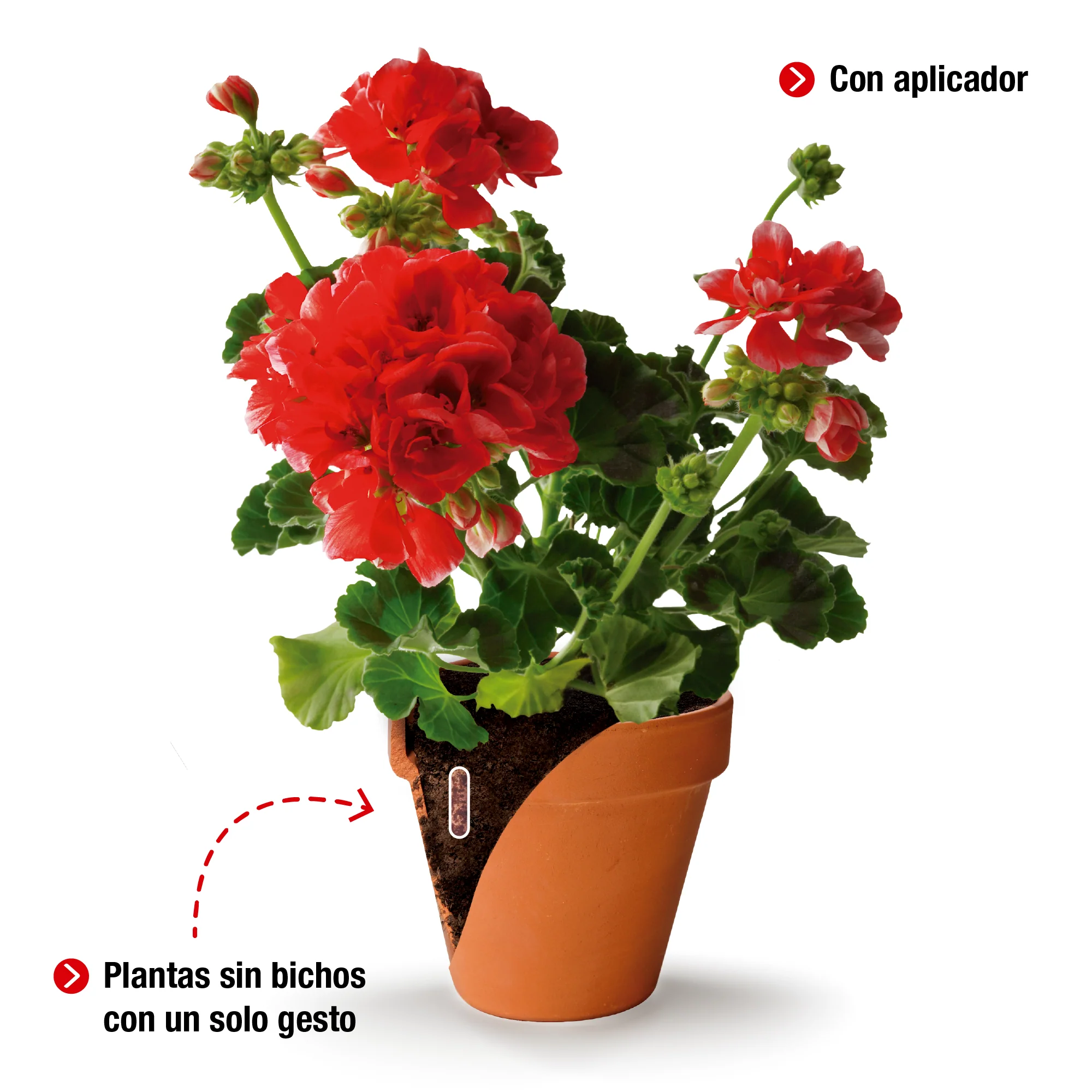 PROTECT GARDEN SANIUM PIN Insecticida y Fertilizante - Image 2