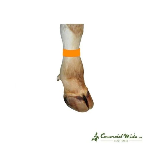 Pulsera de Plástico KERBL para Vacuno 37x3,8cm (Varios Colores) - Image 10