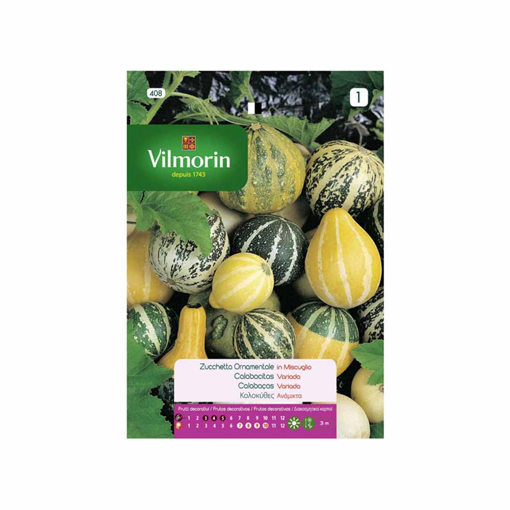 Semillas Calabacitas Variadas 3gr VILMORIN