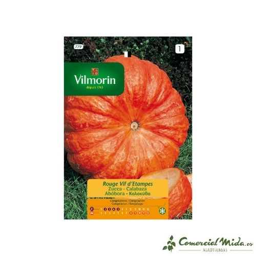 VILMORIN Semillas de CALABAZA ROJO VIVO ETAMPES 7 gr