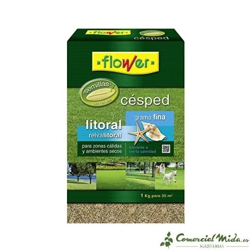 Semillas de CÉSPED LITORAL FLOWER