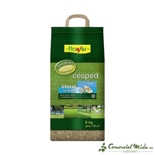 Semillas de CÉSPED LITORAL FLOWER - Image 2