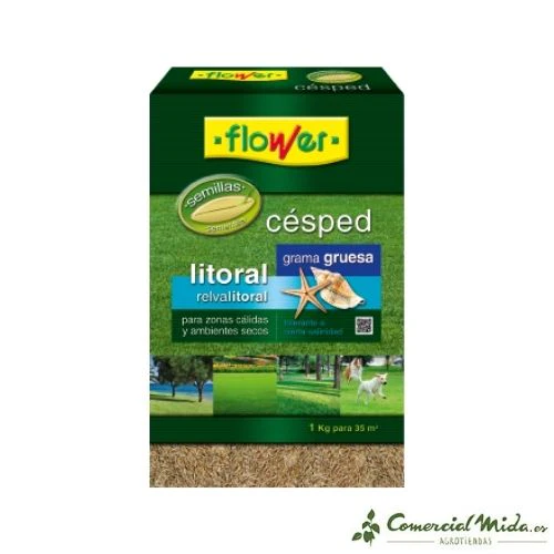 Semillas de CÉSPED LITORAL FLOWER - Image 3
