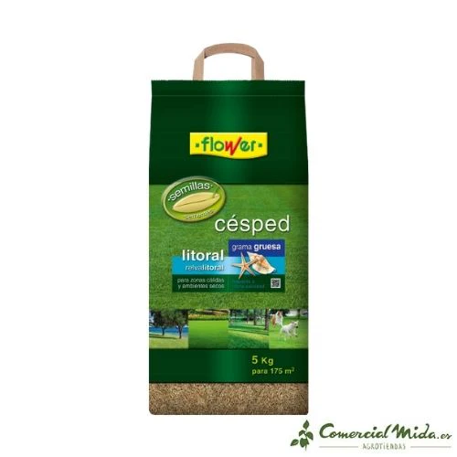 Semillas de CÉSPED LITORAL FLOWER - Image 4