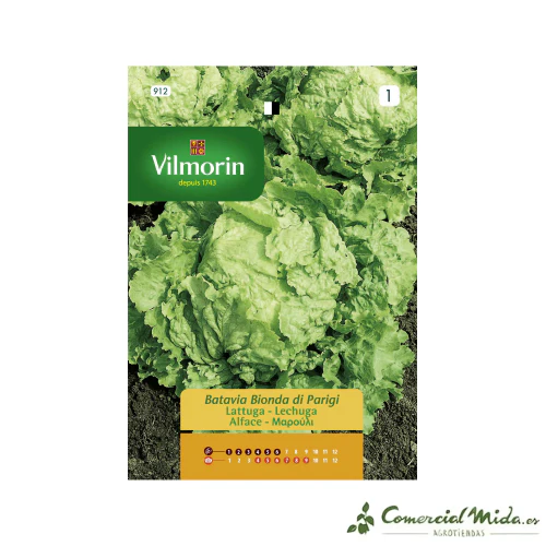 Semillas Lechuga Batavia París 7gr VILMORIN