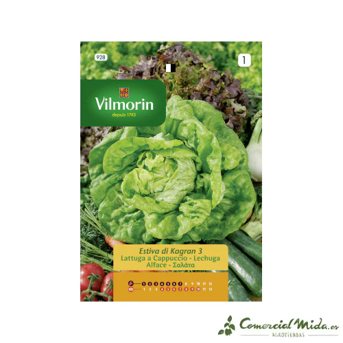 Semillas Lechuga Kagraner Sommer 7gr VILMORIN