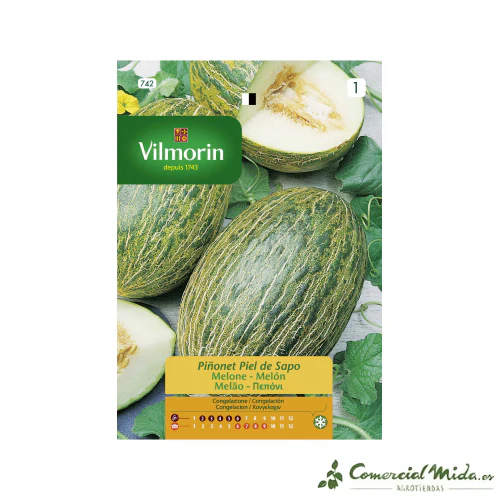 Semillas de MELON PIÑONET PIEL DE SAPO VILMORIN 5 gr