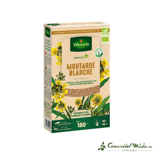 Semillas MOSTAZA BLANCA para Múltiples Usos - Image 2