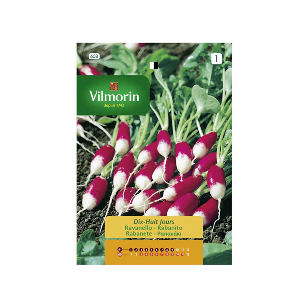 Semillas Rabanito Dix Huit Jours 12gr VILMORIN
