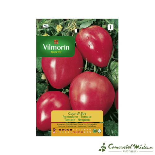 Semillas Tomate Corazón de Buey 1gr VILMORIN