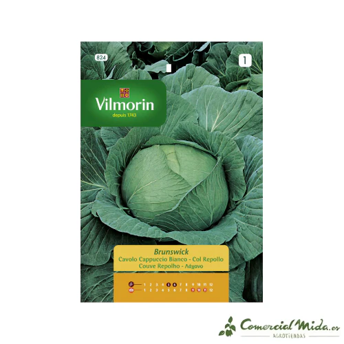 Semillas de COL REPOLLO BRUNSWICK Vilmorin 6g