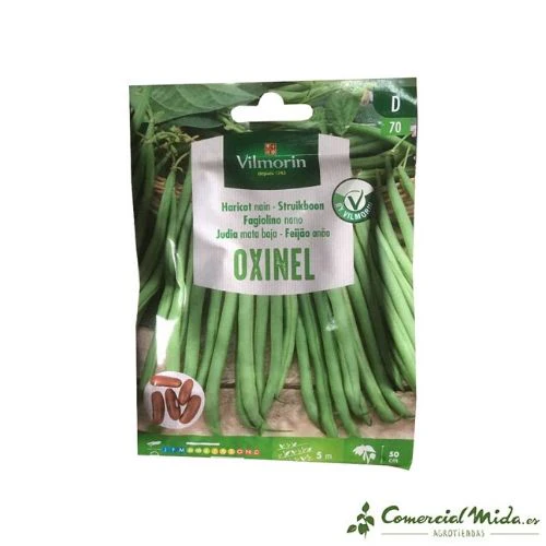 Semillas de JUDIAS OXINEL de mata baja Vilmorin 30 gr
