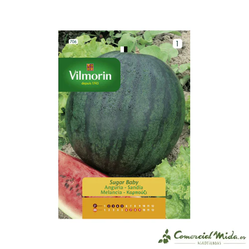 Semillas de SANDIA SUGAR BABY Vilmorin 6g