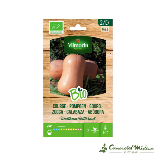 VILMORIN BIO Semillas Calabaza Butternut