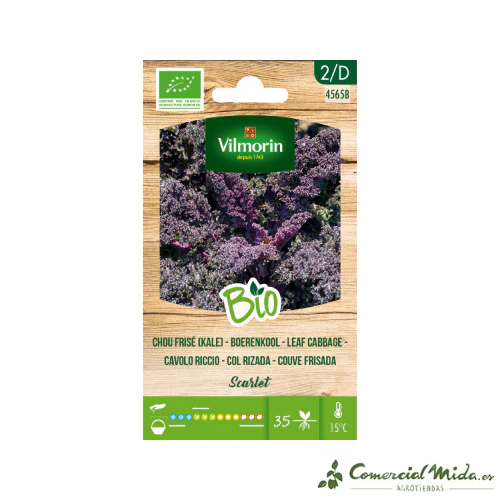 VILMORIN BIO Semillas Col Rizada Rojo