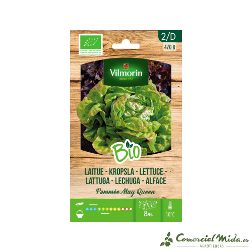 Semillas BIO de Lechuga MAY QUEEN VILMORIN