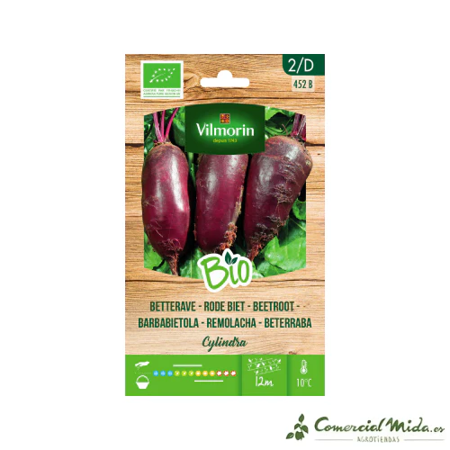 VILMORIN BIO Semillas Remolacha CYLINDRA