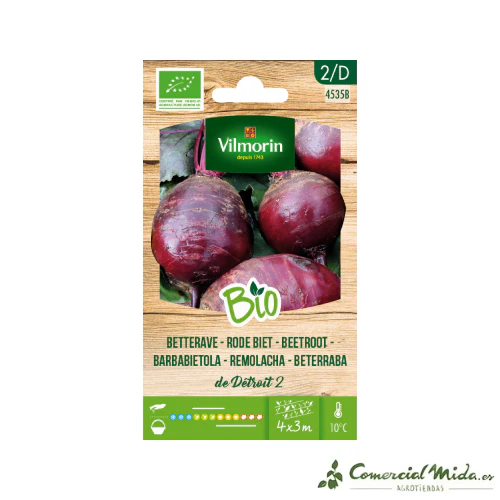 VILMORIN BIO Semillas Remolacha Detroit