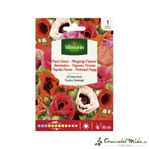 VILMORIN Semillas Adormidera de Oriente Variada