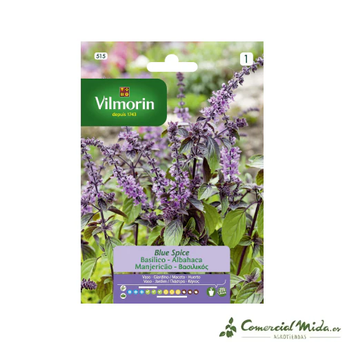 VILMORIN Semillas Albahaca Blue Spice