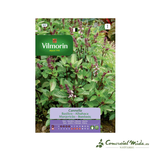 VILMORIN Semillas Albahaca Canela