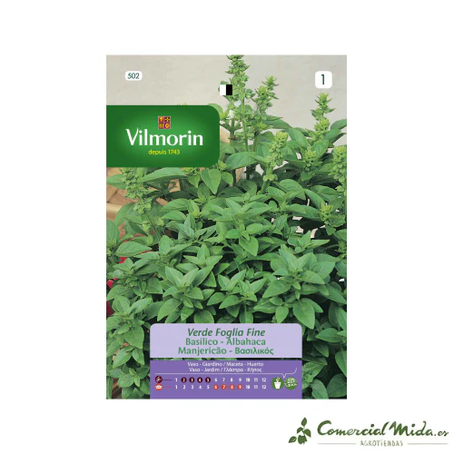VILMORIN Semillas Albahaca Fina Verde