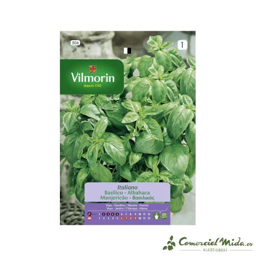 VILMORIN Semillas Albahaca Grande Verde