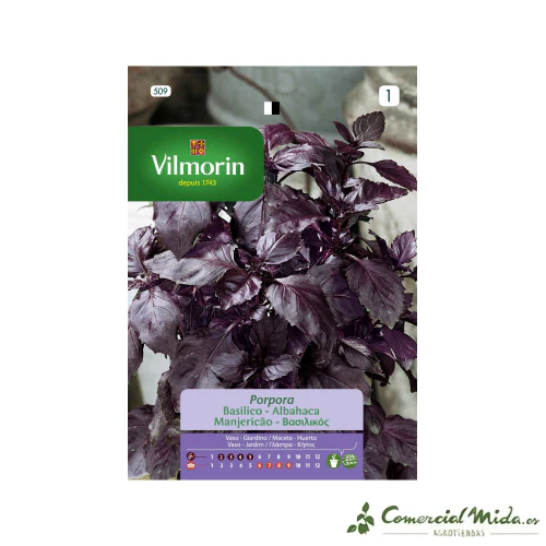 VILMORIN Semillas Albahaca Pύrpura