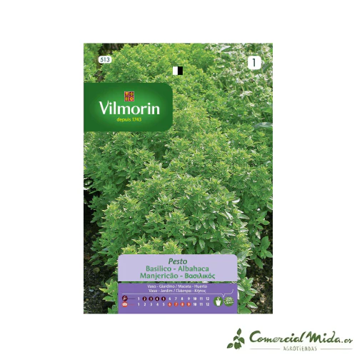 VILMORIN Semillas Albahaca Pesto