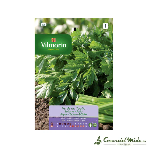 VILMORIN Semillas Apio