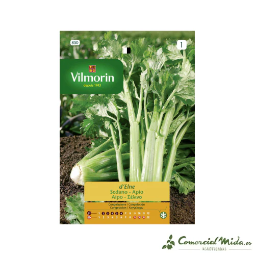 VILMORIN Semillas Apio de Elne