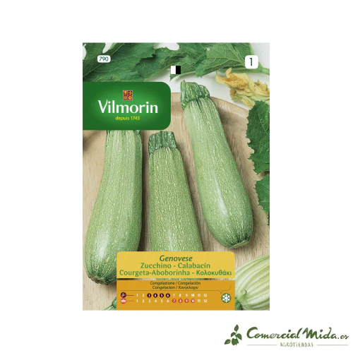 VILMORIN Semillas Calabacín Genovese
