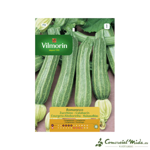 VILMORIN Semillas Calabacín Romanesco