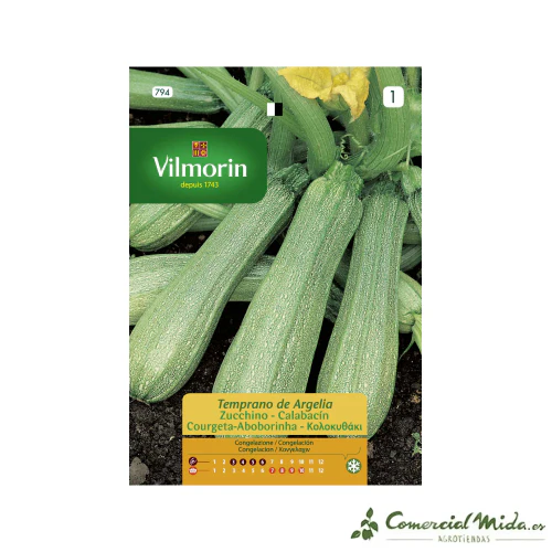 VILMORIN Semillas Calabacín Temprano de Argelia