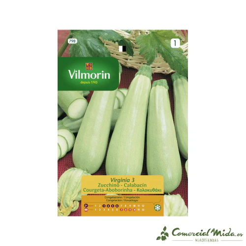 VILMORIN Semillas Calabacín Virginia 3