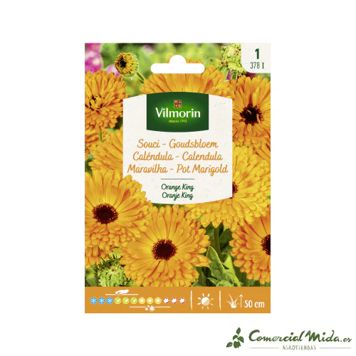 VILMORIN Semillas Caléndula Naranja