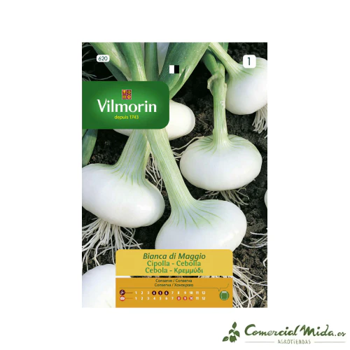 VILMORIN Semillas Cebolla Blanca de la Reina