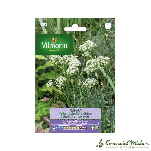 VILMORIN Semillas Cebollino Chino - Cebolla Ajo