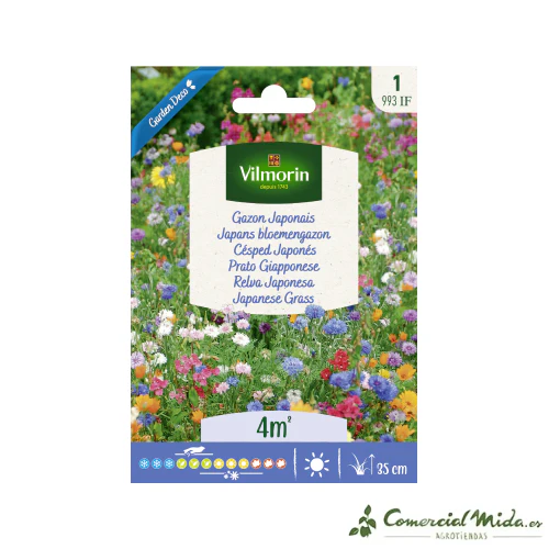 VILMORIN Semillas Césped Japonés