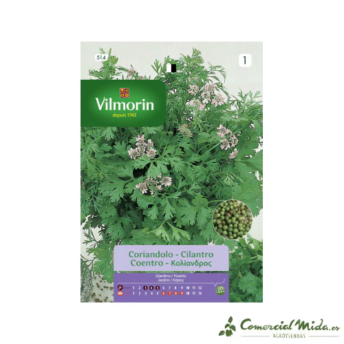 VILMORIN Semillas Cilantro