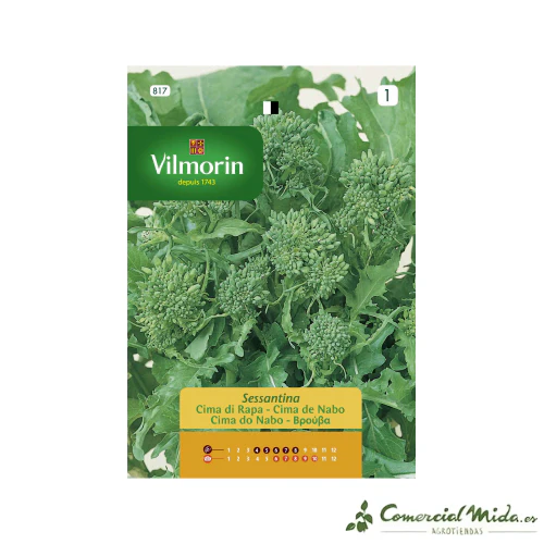 VILMORIN Semillas Cima de Nabo Sessantino